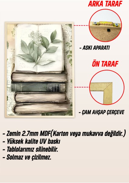🌿 Kitap ve Doğa Temalı 3'lü Çerçeveli Tablo Seti🌿 CRV1095 23 x 32