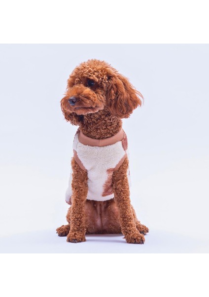 Poodle Paw Peluş Sweat Poodle Desenli Kedi Köpek Sweati Kedi Köpek Kıyafeti Köpek Peluş Kolsuz Sweat Sıcak Tutan Süveter modelleri