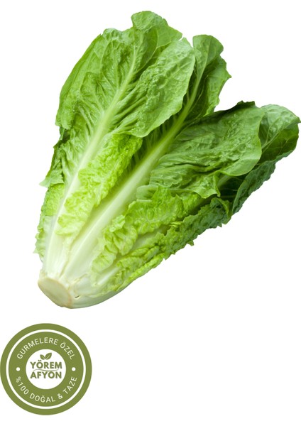Yörem Afyon Sakarya Yöresinden Sıcağa Dayanıklı Iri Yapraklı Gdo'suz Marul Tohumu (Lactuca Sativa) | 20GR. fiyatları