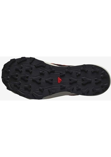 Thundercross Gtx Erkek Koşu Ayakkabısı