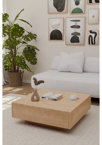 LED Işık Aydınlatmalı Uçan Kare Orta Sehpa Küp Sehpa Safir Meşe modelleri