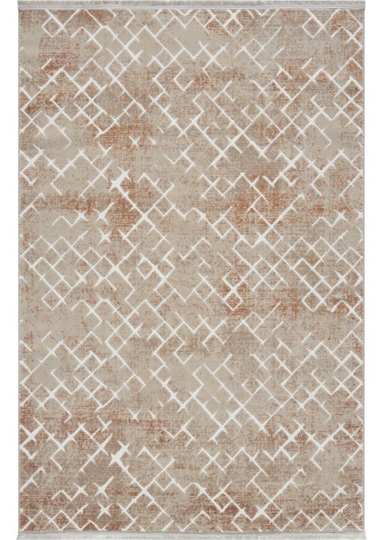 Asya Terra Halı Akrilik Halı Yumuşak Dokulu Salon Oturma Odası Yatak Odası Halısı 521