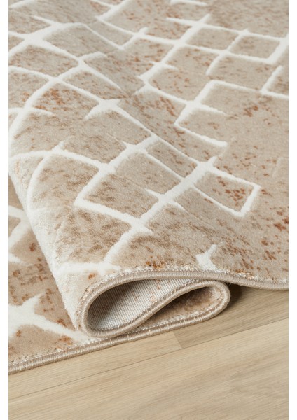 Asya Terra Halı Akrilik Halı Yumuşak Dokulu Salon Oturma Odası Yatak Odası Halısı 521 modelleri