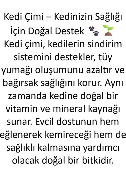 Kedi Çimi Otu Tekrar Kullanılabilir Topraksız Yetiştirme Kutusu fiyatları