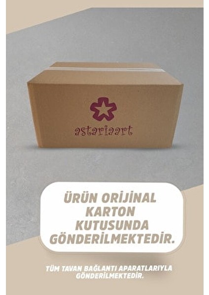 Dream Krem Salıncak Çocuklar İçin Konforlu ve Güvenli Tasarım 50 Kg Taşıma Kapasitesi