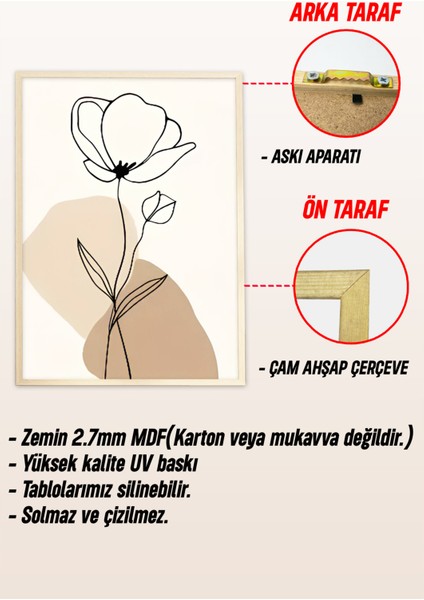 🌿 Modern Çizgisel Çiçek Desenli 3’lü Çerçeveli Tablo Seti 🌿 CRV1118 23 x 32