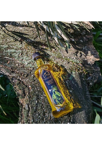 Lyna Naturel Sızma Soğuk Sıkım 100 ml Zeytinyağı