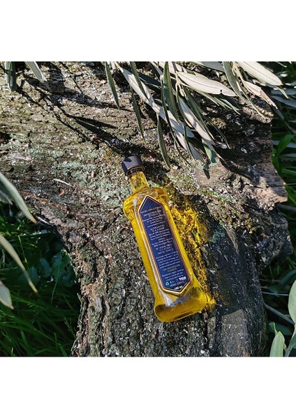Lyna Naturel Sızma Soğuk Sıkım 100 ml Zeytinyağı fiyatları