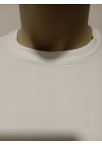 Erkek Kompak Sıfır Yaka Sweatshirt fiyatları