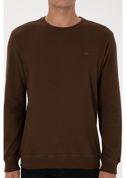 Erkek Kahverengi Sweatshirt 50316390-VR029