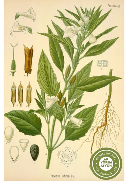 Yörem Afyon Meşhur Şanlıurfa Yöresinden Yerli Mahsul Doğal Kırmızı Susam (Sesamum Indicum) | 90GR. fırsatları