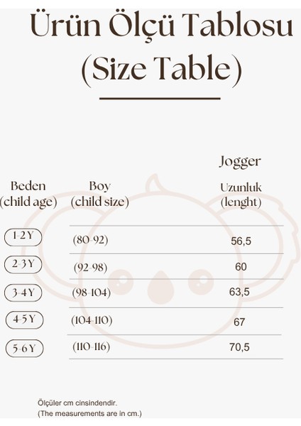 Mor Polarlı Eşofman Altı modelleri