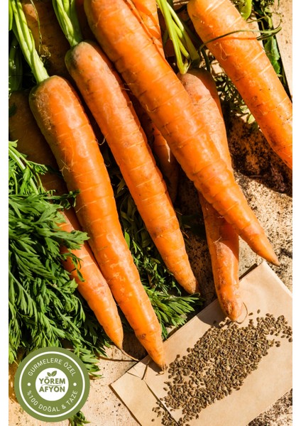 Yörem Afyon Konya Yöresinden Yöresel Tarım Hasadı Gdo’suz Çimlendirilebilir Havuç Tohumu (Daucus Carota) | 30GR. modelleri