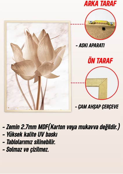 🌸 Lotus Çiçek Desenli 3'lü Mdf Çerçeveli Tablo Seti 🌸🌿 CRV1147 23 x 32