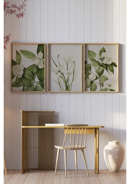 🌿 3’lü Çerçeveli Yeşil Yapraklı Beyaz Çiçek Desenli Tablo Seti – Botanik ve Natürel Stil🌿 CRV1157 23 x 32 fiyatları