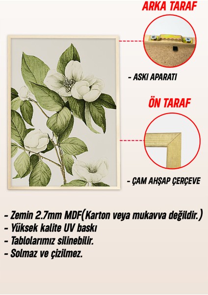 🌿 3’lü Çerçeveli Yeşil Yapraklı Beyaz Çiçek Desenli Tablo Seti – Botanik ve Natürel Stil🌿 CRV1157 23 x 32