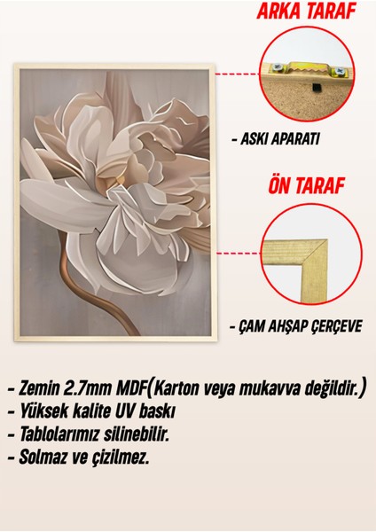 🤍 3’lü Çerçeveli Soft Tonlarda Büyük Çiçek Desenli Tablo Seti 🌿 CRV1156 23 x 32