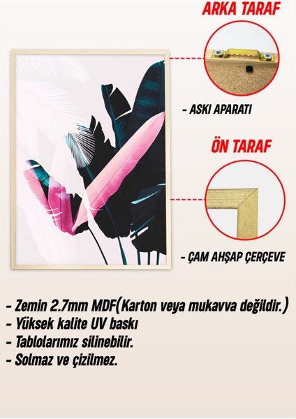 🌿 Tropikal Bitkiler Temalı 3’lü Çerçeveli Tablo Setii 🌿 CRV1145 23 x 32