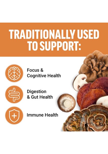 Modern Mushrooms Lions Mane Turkey Tail Immunity Cognitive Digestion 90 Vege fırsatları