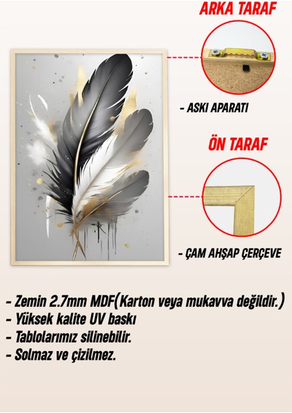 🖼️ Siyah Gri Altın Detaylı Tüy ve Çiçek Temalı 3'lü Ahşap Çerçeveli Mdf Tablo Seti🌿 CRV1143 23 x 32