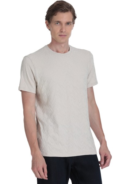 Taş Regular Fit Bisiklet Yaka Tişört