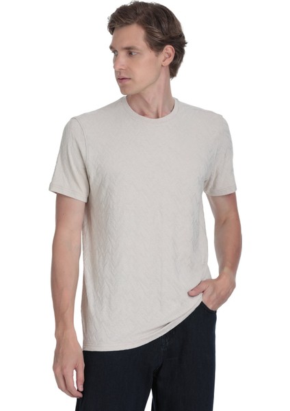 Taş Regular Fit Bisiklet Yaka Tişört modelleri