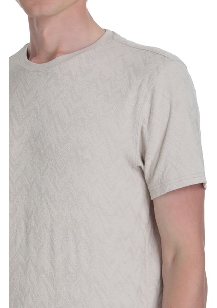 Taş Regular Fit Bisiklet Yaka Tişört fırsatları