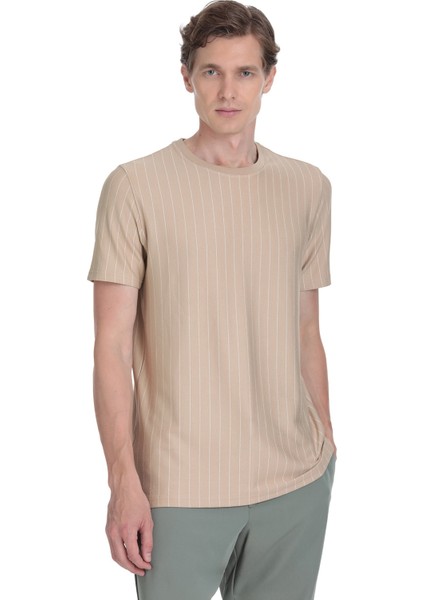 Bej Regular Fit Çizgili Bisiklet Yaka Tişört