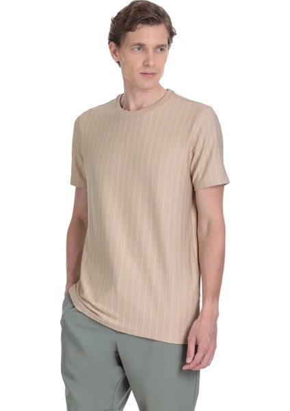 Bej Regular Fit Çizgili Bisiklet Yaka Tişört modelleri