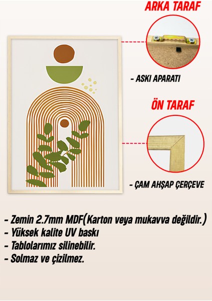 🌿🫒 Zeytin Dalı ve Geometrik Formlar Temalı 3’lü Ahşap Çerçeveli Minimalist Tablo Seti 🌿 CRV1158 23 x 32