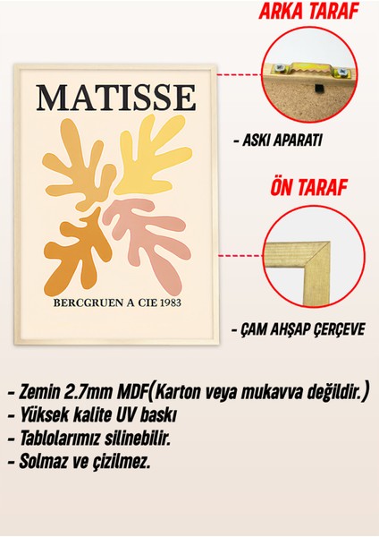 🎨 Matisse Tarzı Renkli Soyut Bitki Desenli 3’lü Ahşap Çerçeveli Tablo Seti 🌿 CRV1164 32 x 42