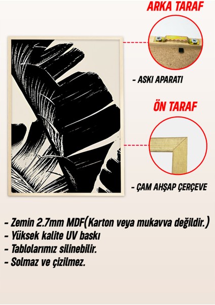 🖤 Siyah Beyaz Tropikal Yaprak Temalı 3’lü Çerçeveli Tablo Seti🌿 CRV1160 23 x 32