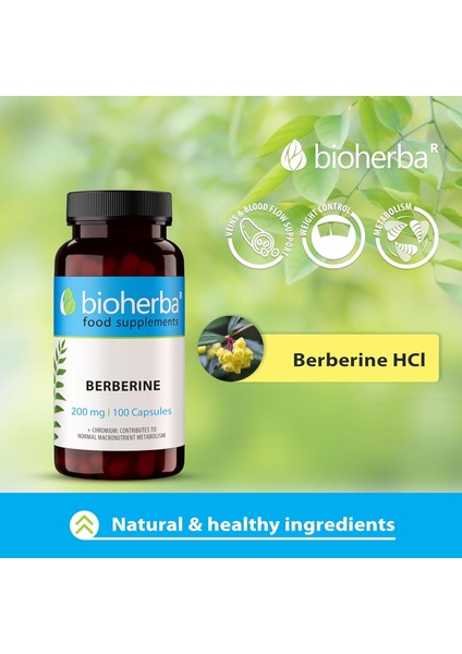 Berberine Antioxidant(Antioksidan) 200 Mg 100 Caps fırsatları