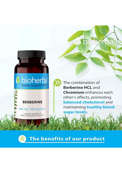 Berberine Antioxidant(Antioksidan) 200 Mg 100 Caps indirimleri