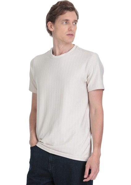 Taş Regular Fit Çizgili Bisiklet Yaka Tişört