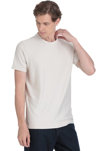 Taş Regular Fit Çizgili Bisiklet Yaka Tişört modelleri