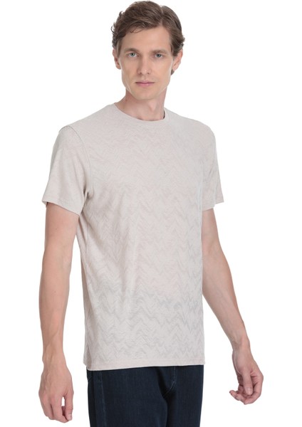 Ekru Regular Fit Bisiklet Yaka Tişört modelleri