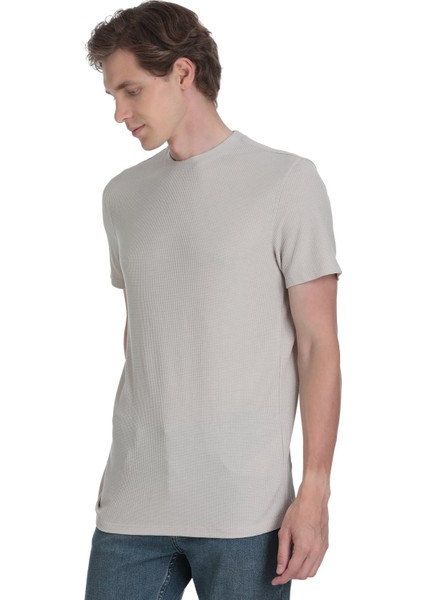 Ekru Regular Fit Bisiklet Yaka Tişört modelleri