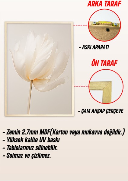 🌼 3'lü Çerçeveli Krem Çiçek Desenli Dekoratif Tablo Seti 🌿 CRV1149 23 x 32