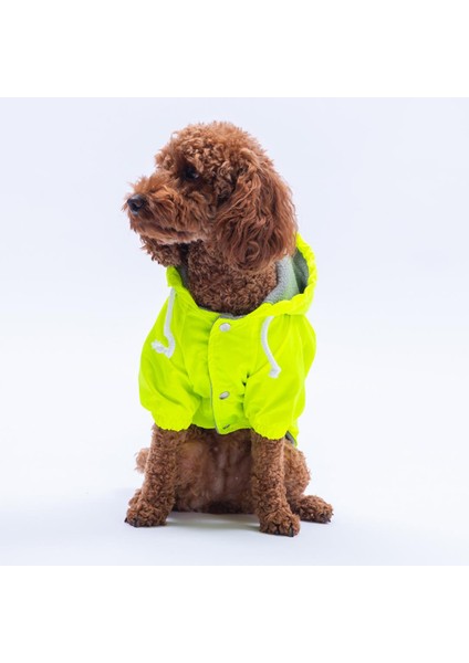 Neon Sarı Mont Köpek Mont Köpek Kıyafeti Köpek Yağmurluğu(Küçük ve Büyük Irklar Için) fiyatları