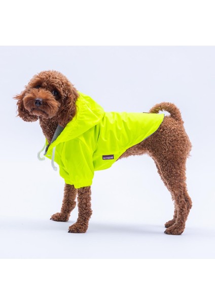Neon Sarı Mont Köpek Mont Köpek Kıyafeti Köpek Yağmurluğu(Küçük ve Büyük Irklar Için) modelleri