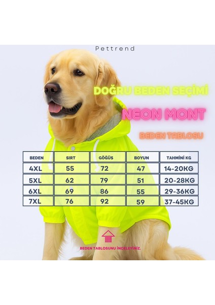 Neon Sarı Mont Köpek Mont Köpek Kıyafeti Köpek Yağmurluğu(Küçük ve Büyük Irklar Için) indirimleri
