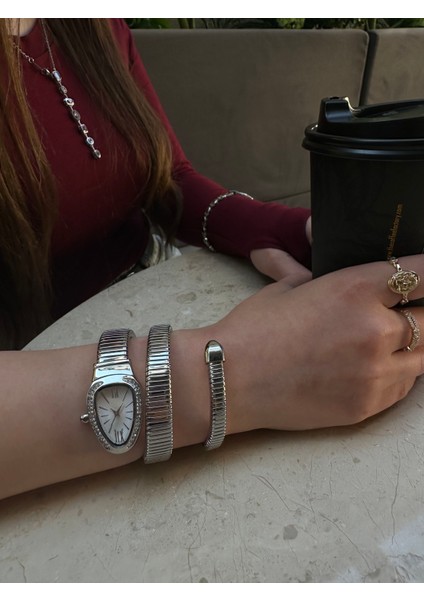 Çelik Gümüş Taşlı Yılan Model Dolamalı Kadın Kol Saati