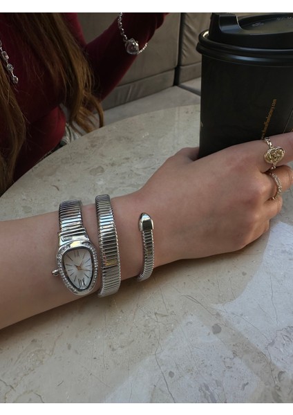 Çelik Gümüş Taşlı Yılan Model Dolamalı Kadın Kol Saati fiyatları