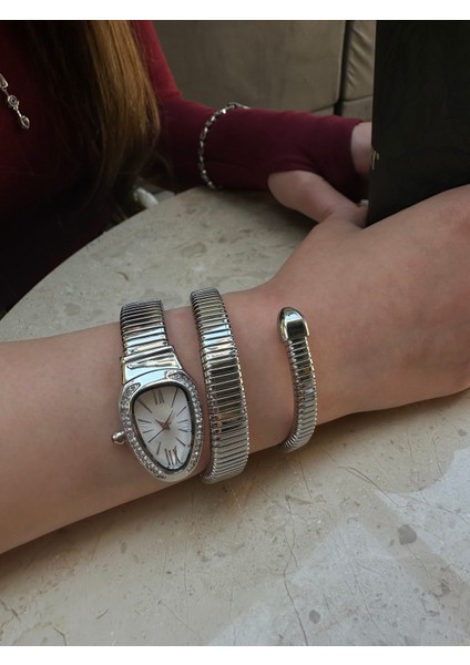 Çelik Gümüş Taşlı Yılan Model Dolamalı Kadın Kol Saati modelleri