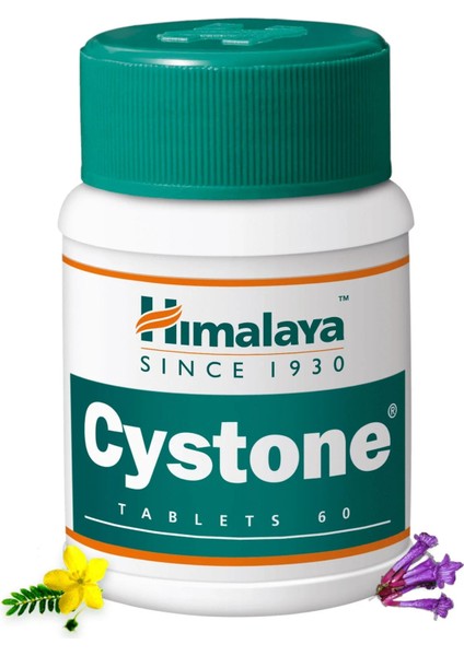 Cystone 60 Tablet - Abd Versiyon
