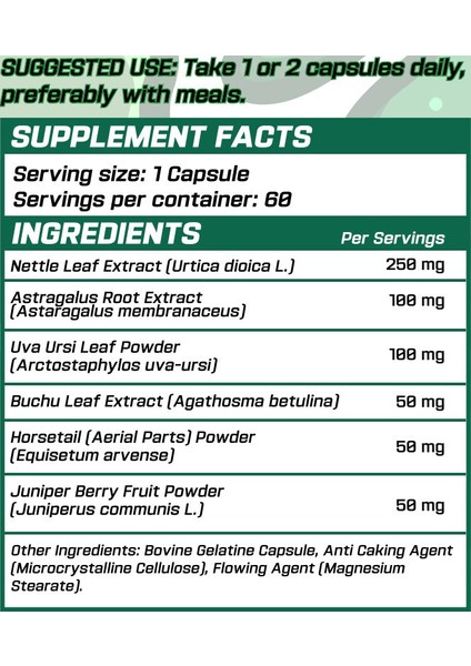 Detoks Seti - LIV52 Liver + Cystone Kidney Koruyucu Seti indirimleri