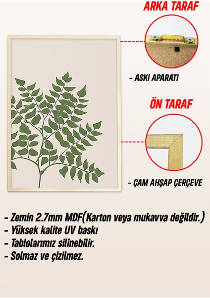 🌿 Doğanın Ferahlığı Evinizde: Yeşil Yaprak Temalı 3’lü Çerçeveli Tablo Seti 🌿 CRV1171 23 x 32