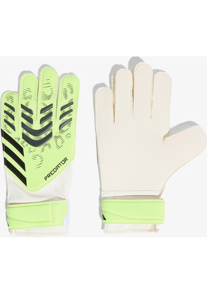 Yeşil Kaleci Eldiveni PRED GL TRN JN5356 indirimleri