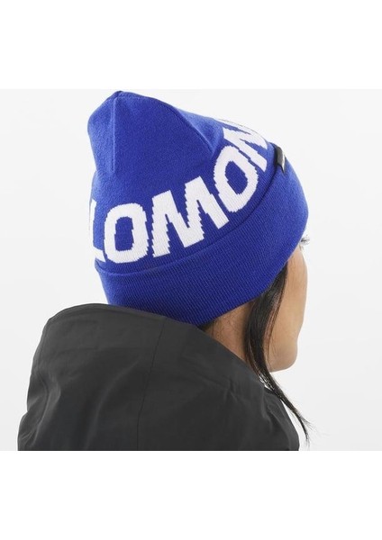 Hermitage Beanie Unisex Bere